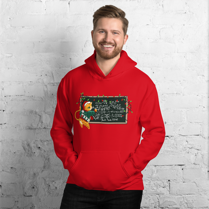 cute holiday hoodie for data scientists, statisticians, and quantitative nerds.