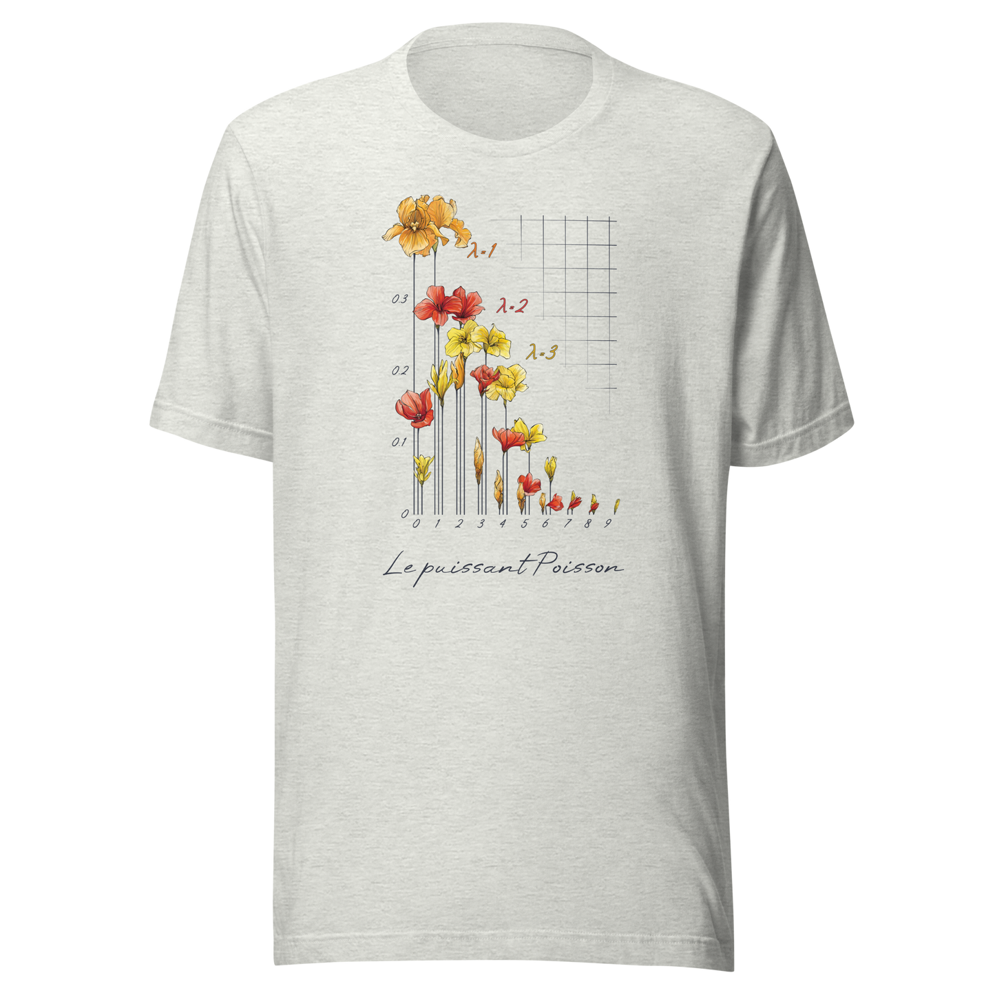 Poisson Distribution T-shirt in ash heather