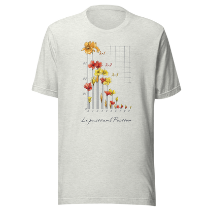 Poisson Distribution T-shirt in ash heather