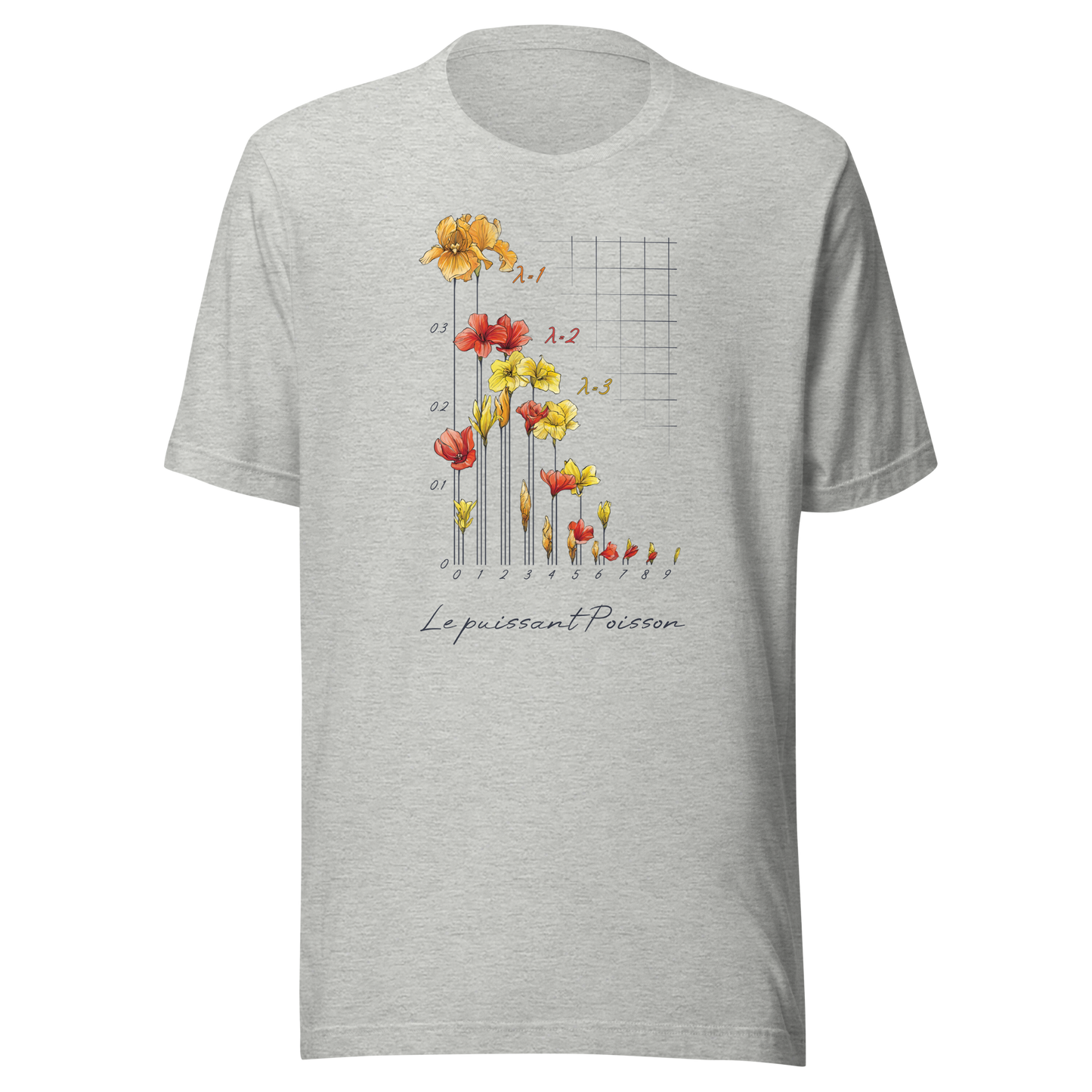 Poisson Distribution T-shirt in athletic heather