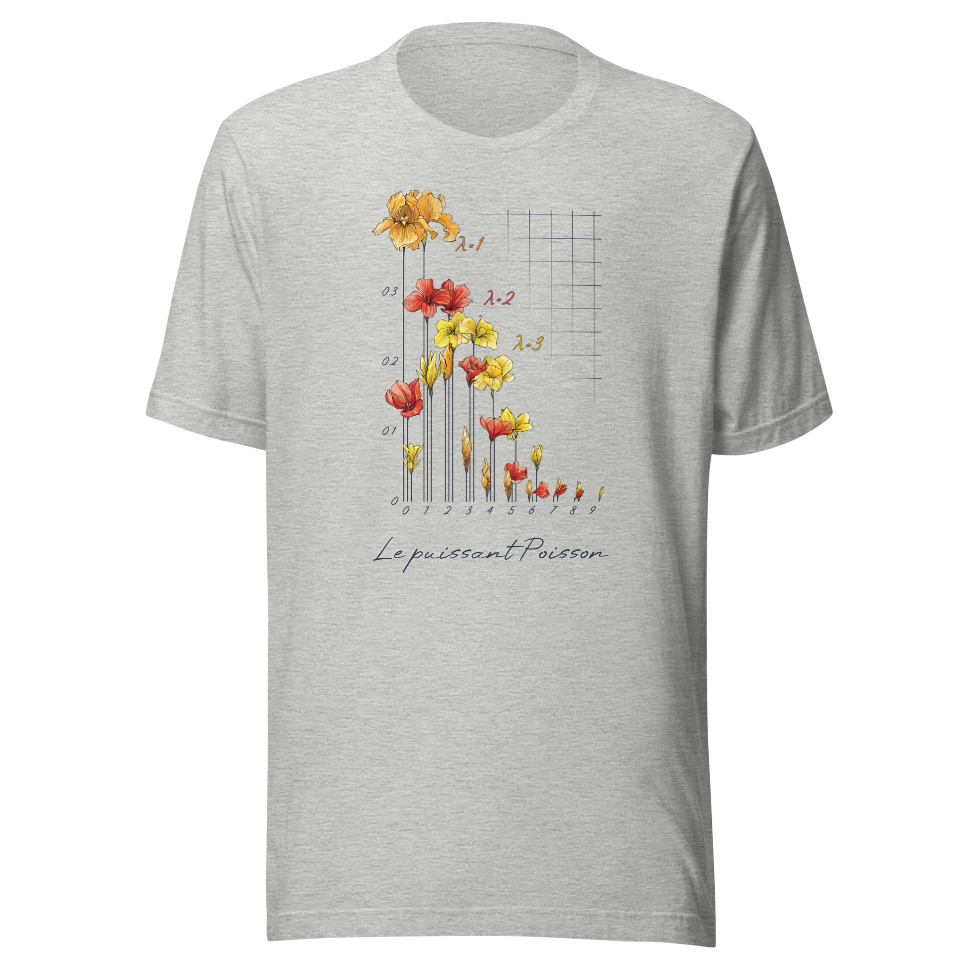 Poisson Distribution T-shirt in athletic heather