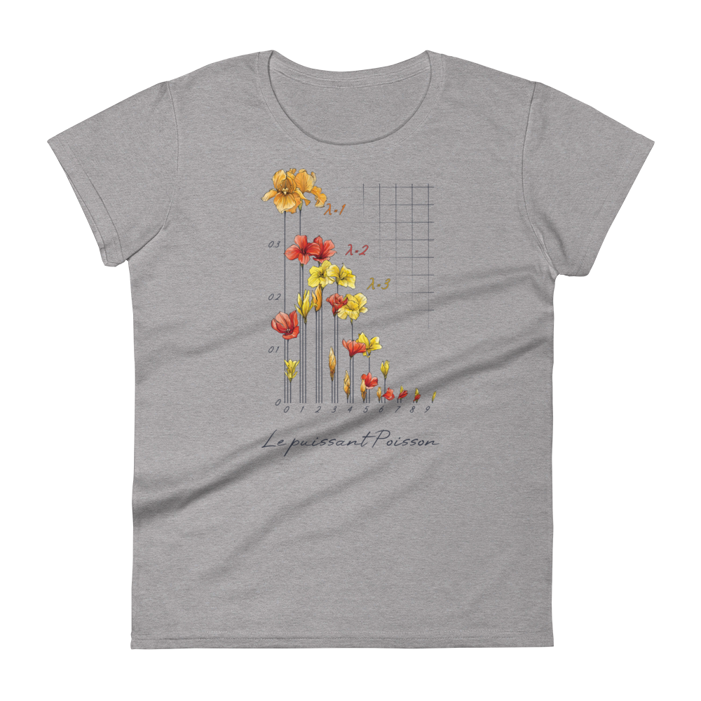 Poisson Distribution T-shirt in heather grey