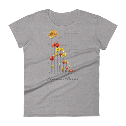 Poisson Distribution T-shirt in heather grey